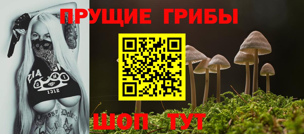 Галлюциногенные грибы Magic Shrooms Горячий Ключ