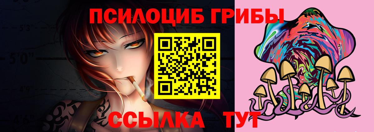 Галлюциногенные грибы Magic Shrooms  Галлюциногенные грибы Psilocybe  Вход с VPN  Горячий Ключ 